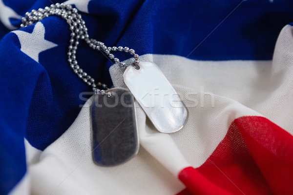 Cane tag catena bandiera americana primo piano Foto d'archivio © wavebreak_media