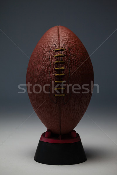 American football on tee Stock photo © wavebreak_media
