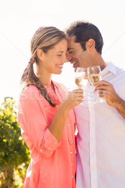 Glücklich Paar Toasten Gläser Wein Weinberg Stock foto © wavebreak_media