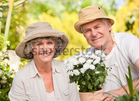 Senior woman cutting flower with pruning shears Stock photo © wavebreak_media
