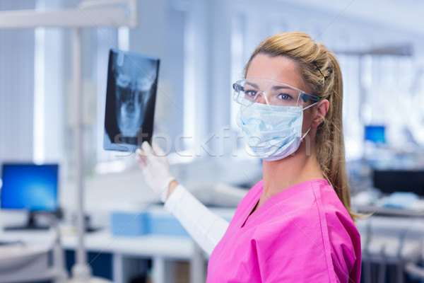 牙科醫生 粉紅色 X射線 看 商業照片 © wavebreak_media