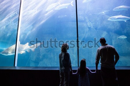 Happy family looking at fish tank Stock photo © wavebreak_media