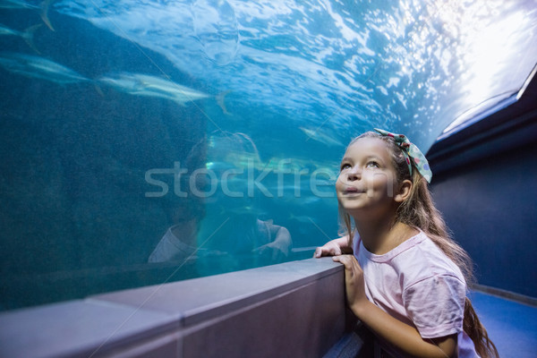 [[stock_photo]]: Petite · fille · regarder · poissons · réservoir · aquarium · enfant