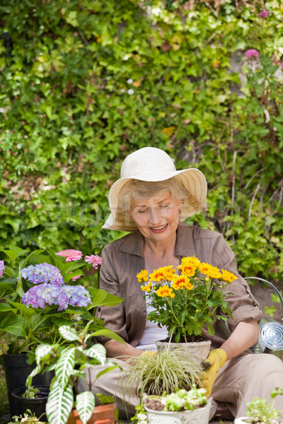 Aposentados mulher trabalhando jardim grama feliz Foto stock © wavebreak_media