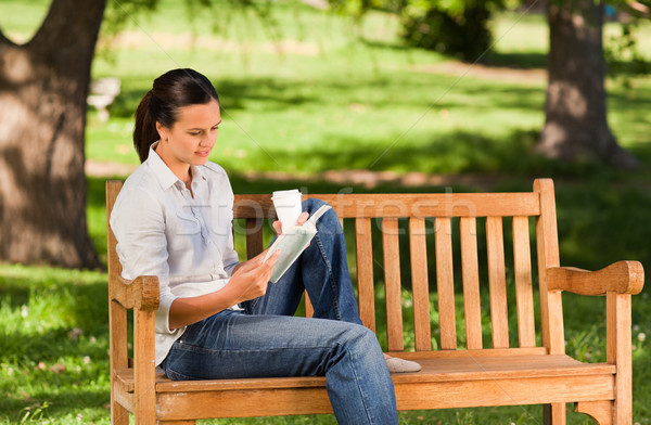 Foto stock: Lectura · banco · parque · café · verano