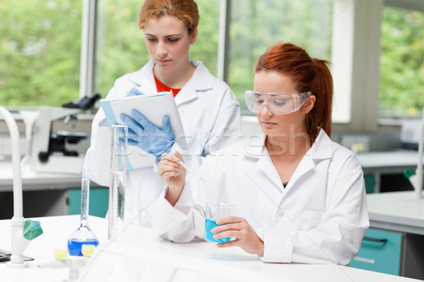 Foto stock: Ciência · estudantes · experiência · laboratório · mulher · trabalhar