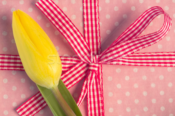 Yellow tulip resting on girly present Stock photo © wavebreak_media