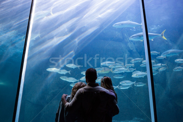 Stock photo: Happy family looking at the fish tank