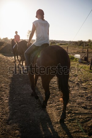 Formazione amici equitazione cavallo fienile Foto d'archivio © wavebreak_media