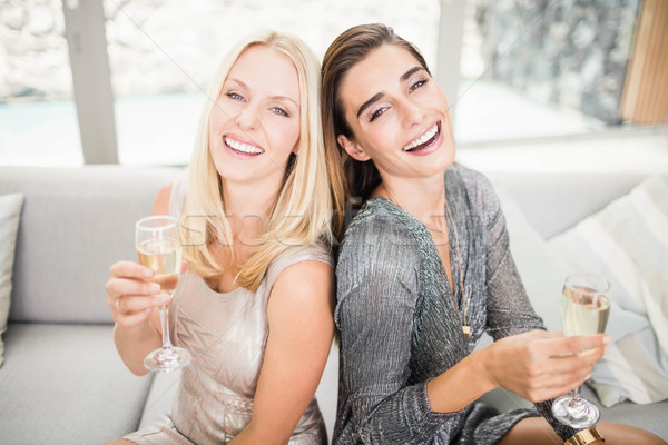 Porträt schönen Frauen Champagner Flöte lächelnd Stock foto © wavebreak_media