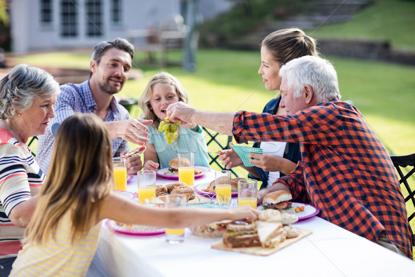 Stock photo: Happy family having lunch in the garden