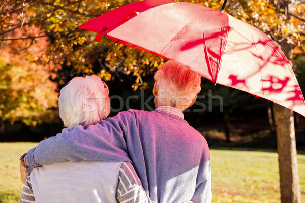 Couple de personnes âgées parapluie parc femme arbre [[stock_photo]] © wavebreak_media