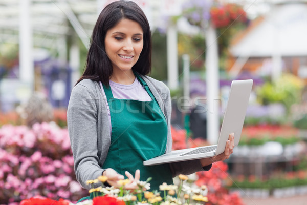 Foto stock: Mulher · laptop · jardim · centro · computador · flor