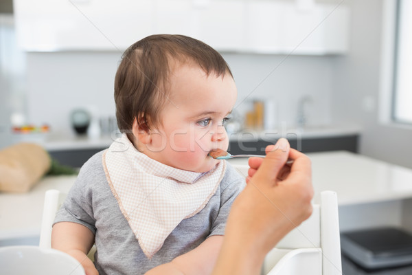 Adorable baby being fed by mother Stock photo © wavebreak_media