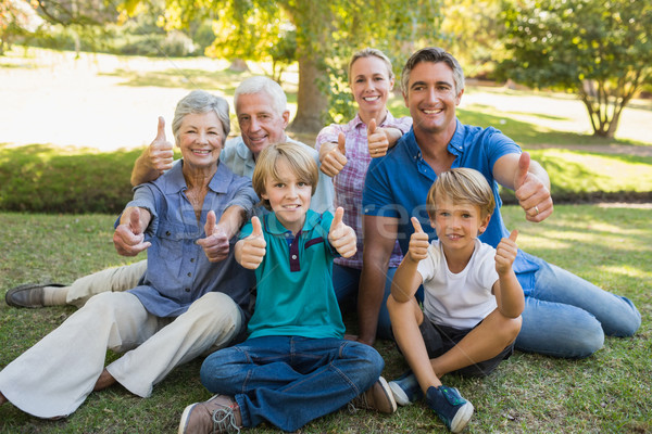 Fericit de familie parc copac Imagine de stoc © wavebreak_media