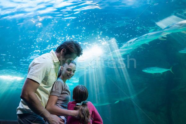 Szczęśliwą rodzinę patrząc zbiornika akwarium człowiek ryb Zdjęcia stock © wavebreak_media