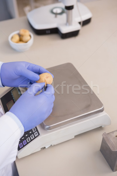 Scientifique pommes de terre laboratoire laboratoire de pomme de terre échelles [[stock_photo]] © wavebreak_media