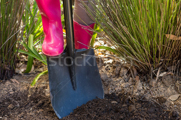 Niski sekcja kobieta gleby łopata ogród Zdjęcia stock © wavebreak_media