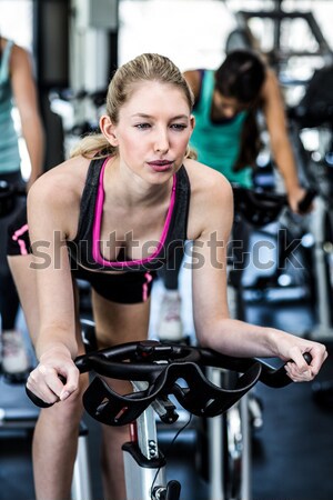 Kadın egzersiz bisiklet sınıf Stok fotoğraf © wavebreak_media