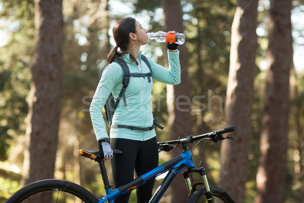 Foto stock: Feminino · água · potável · floresta · água · árvore