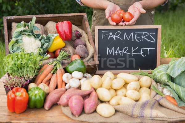 Farmer selling organic veg at market Stock photo © wavebreak_media