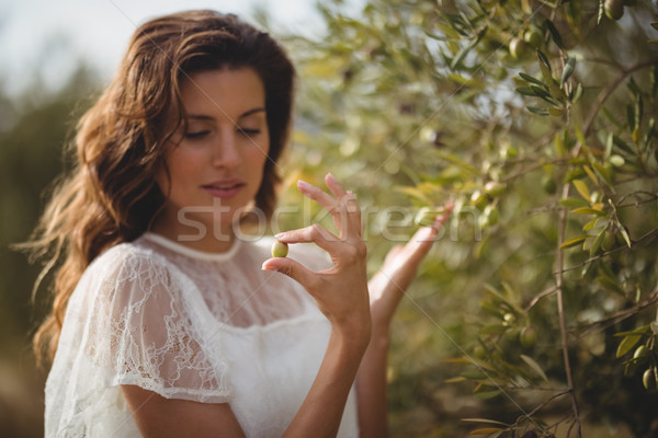 Güzel genç kadın zeytin ağaç çiftlik Stok fotoğraf © wavebreak_media