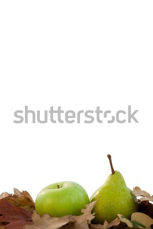 Close-up of pears with autumn leaves Stock photo © wavebreak_media