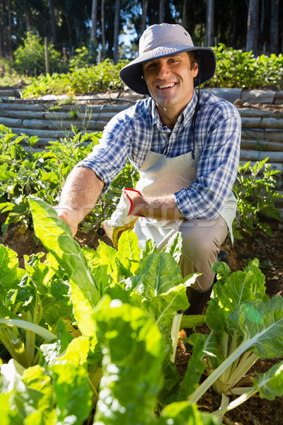 Ritratto felice uomo alberello giardino Foto d'archivio © wavebreak_media