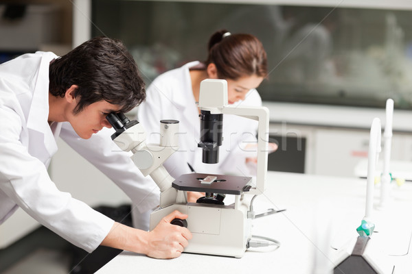 Grave ciencia estudiantes microscopio laboratorio hombre Foto stock © wavebreak_media