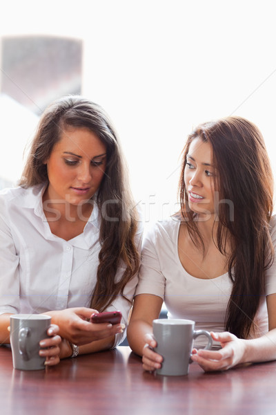 Portrait of friends looking at a smartphone while having a coffee Stock photo © wavebreak_media