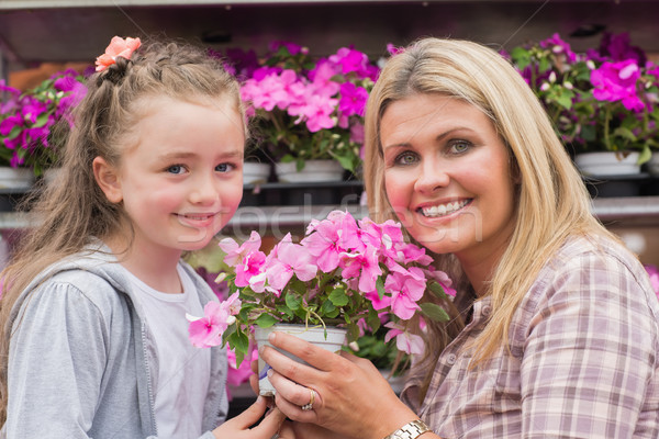 Foto stock: Mãe · filha · sorridente · rosa · planta