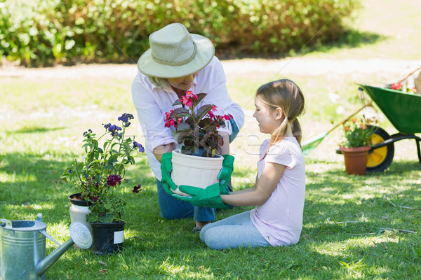 Grandmother and granddaughter engaged in gardening Stock photo © wavebreak_media