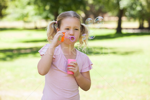 Fille bulles de savon parc cute jeune fille [[stock_photo]] © wavebreak_media