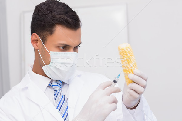 科學家 玉米 技術 實驗室 顯微鏡 男 商業照片 © wavebreak_media