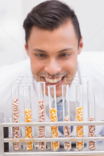 Happy scientist looking at tubes of corn and kernel  Stock photo © wavebreak_media