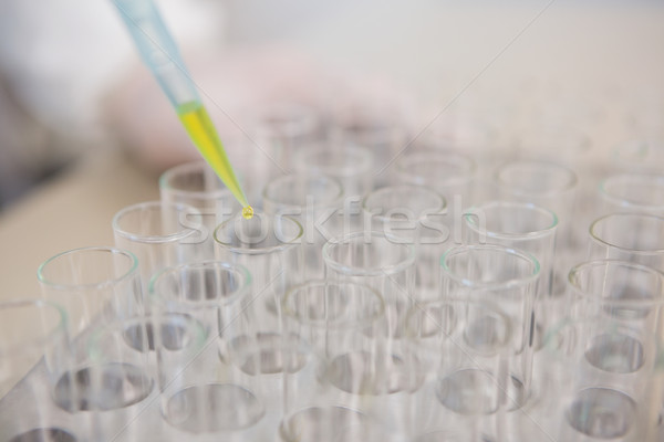 Scientist injecting tubes  Stock photo © wavebreak_media