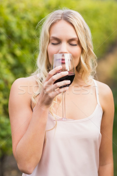 Young happy woman holding a glass of wine Stock photo © wavebreak_media