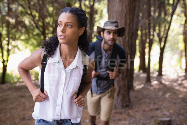 Wandelen bos boom gelukkig paar Stockfoto © wavebreak_media