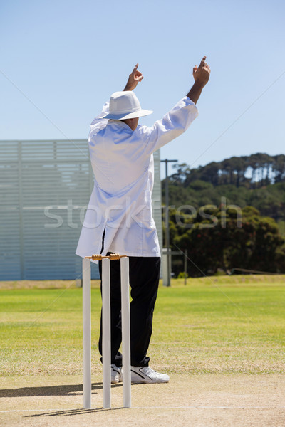 Full length of cricket umpire signalling six runs during match Stock photo © wavebreak_media