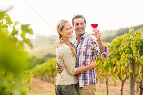 Glücklich Paar schauen Glas Wein Weinberg Stock foto © wavebreak_media