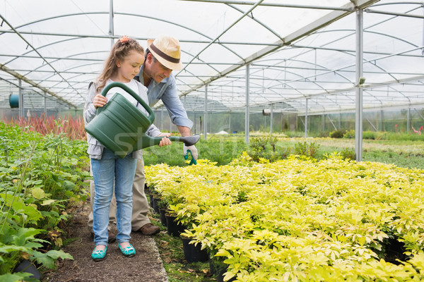 Foto stock: Jardinero · ayudar · plantas · invernadero · nina