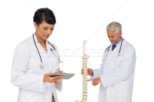 Doctor holding digital table with colleague by skeleton model Stock photo © wavebreak_media