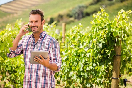 Happy vintner holding harvested grapes in bucket Stock photo © wavebreak_media