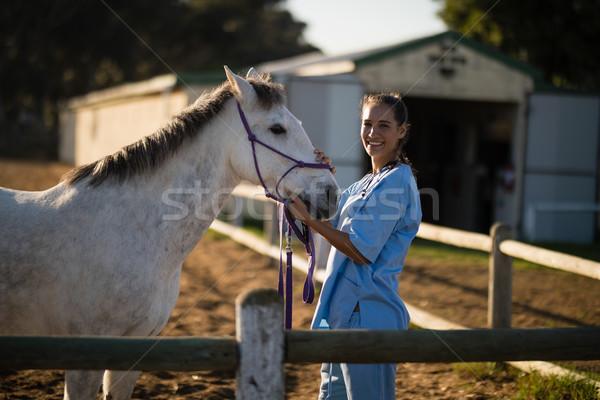 Portret gelukkig dierenarts paard permanente medische Stockfoto © wavebreak_media