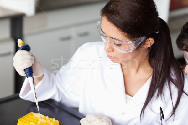 Concentrate scientists making an experiment in a laboratory Stock photo © wavebreak_media