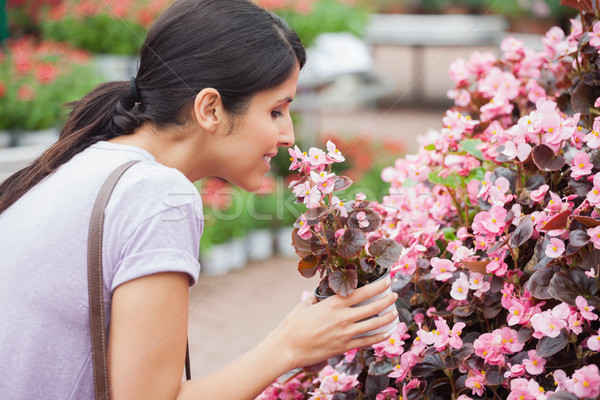 Frau Blumengarten Zentrum Blumen Garten Warenkorb Stock foto © wavebreak_media