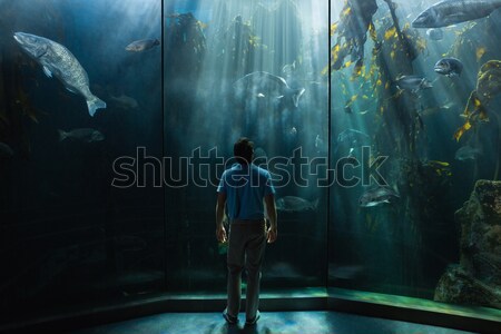 Stock fotó: Család · néz · hal · tank · akvárium · férfi