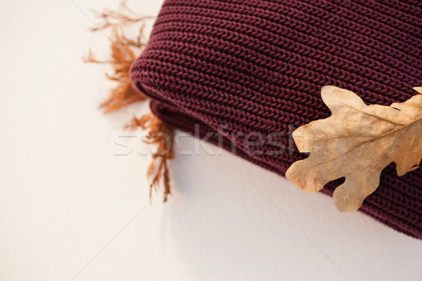 Woolen cloth with autumn leaves Stock photo © wavebreak_media
