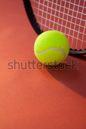 Bal tennisracket kastanjebruin business sport Stockfoto © wavebreak_media