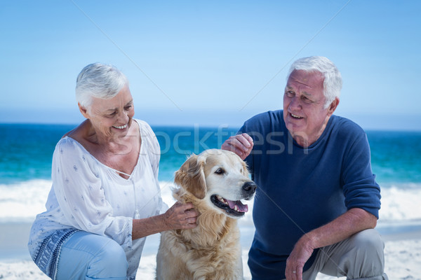 Cute mature couple petting their dog Stock photo © wavebreak_media